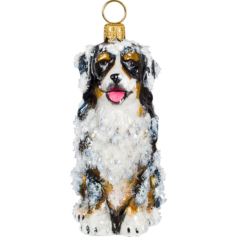 Snowy Bernese Mountain Dog Glass Ornament