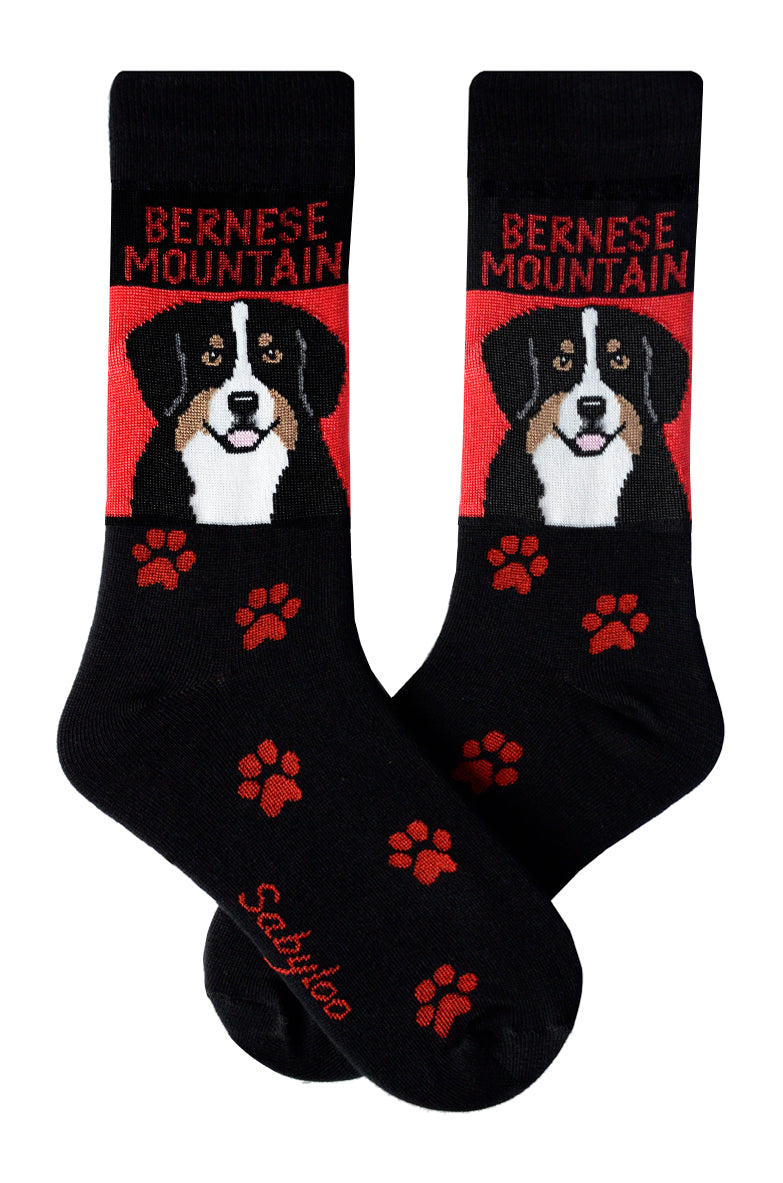 Bernese Mountain Dog Socks