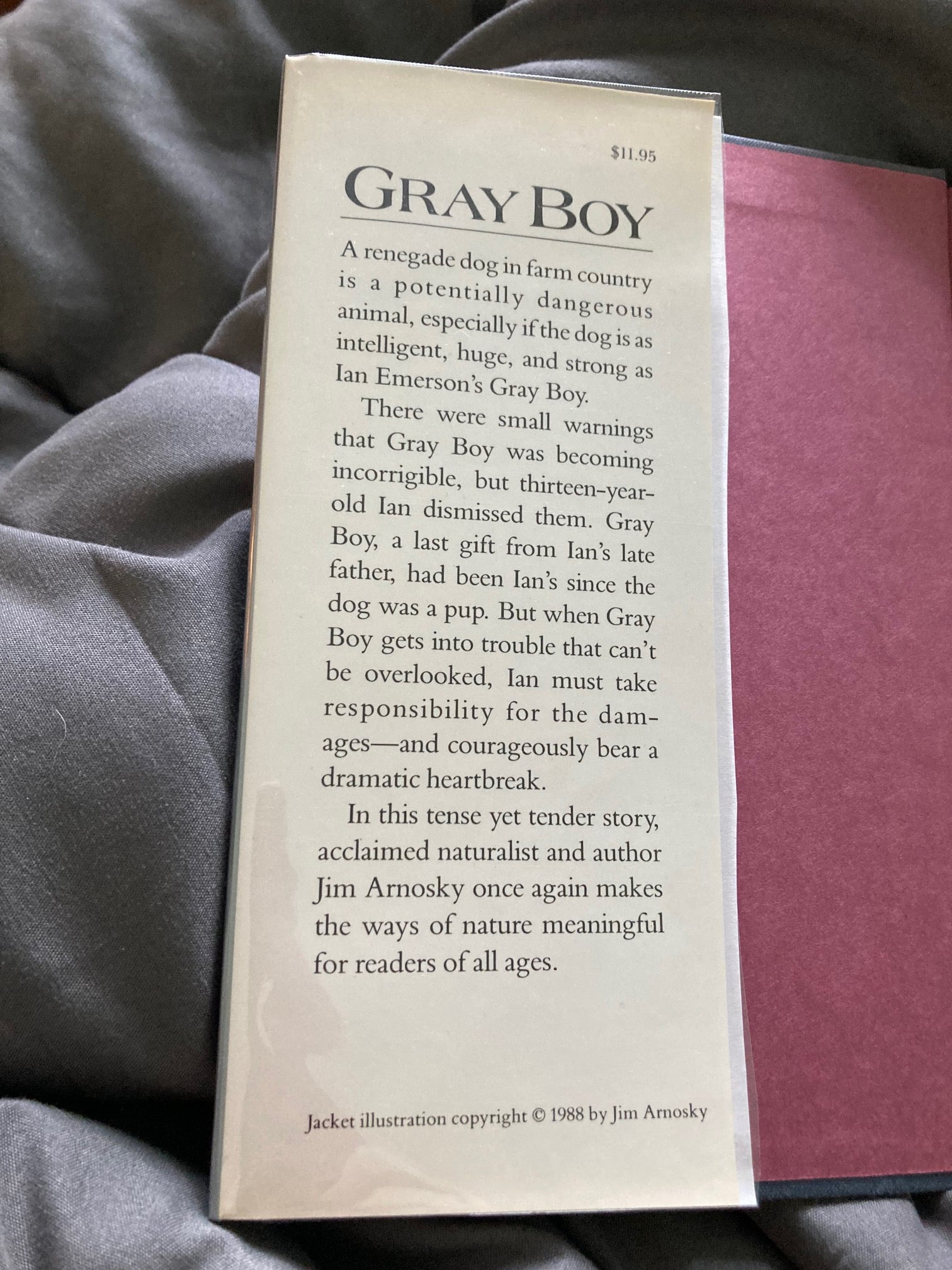 gray boy