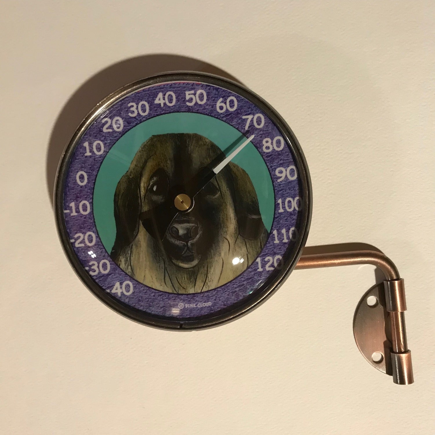 Indoor/Outdoor Leo Thermometer