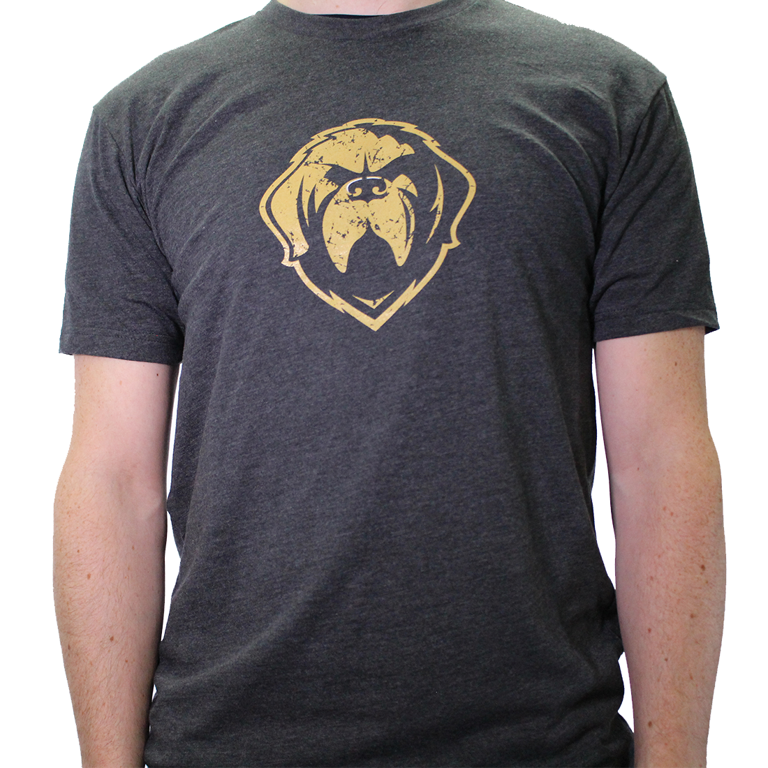 Distressed Growlers Logo Tee