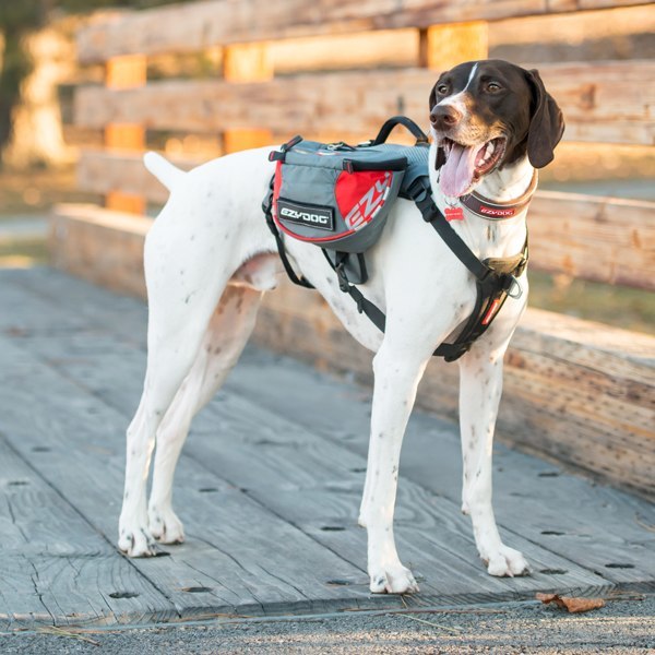 Summitt Backpack for dogs over 95 pounds