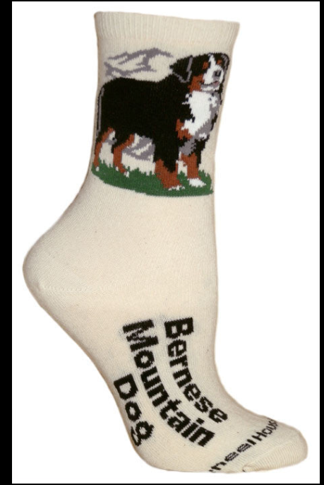 Bernese Mountain Dog Socks on Natural