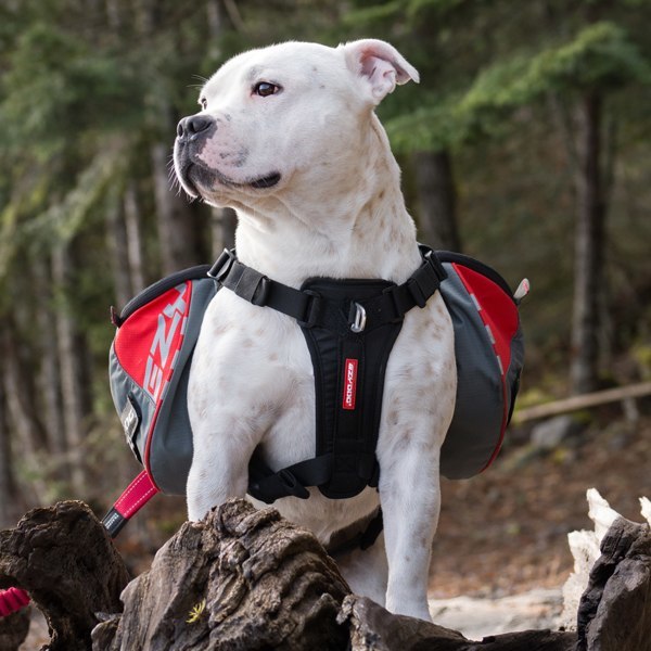 Summitt Backpack for dogs over 95 pounds
