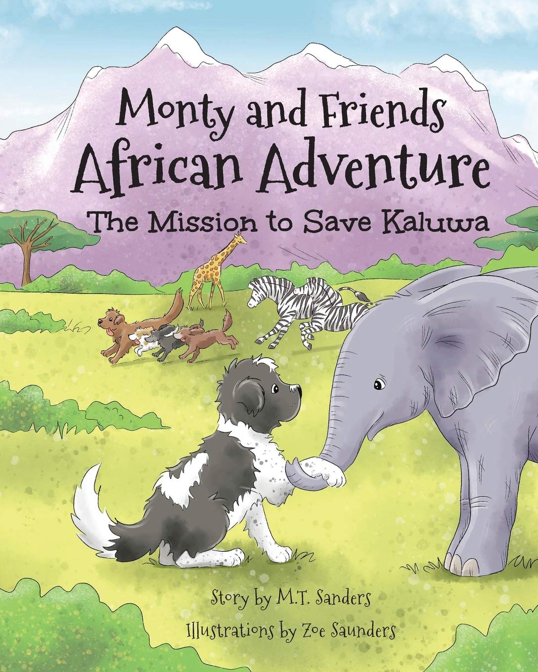 Monty and Friends African Adventure