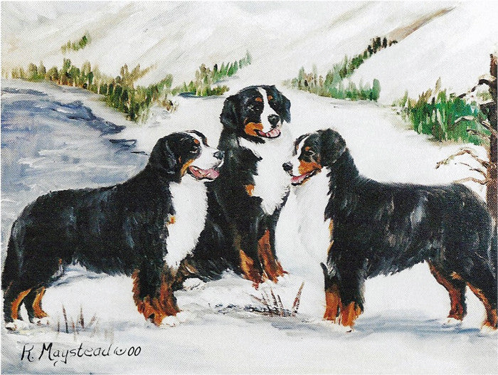 Bernese Blank Note Cards 3 dogs