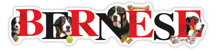 Bernese Alphapet - Magnet