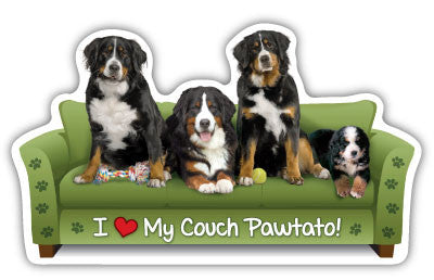 Bernese Couch Pawtato - Magnet