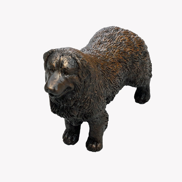 Standing Bernese Mountain Dog - small bronze sculpture