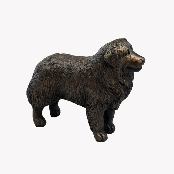 Standing Bernese Mountain Dog - small bronze sculpture