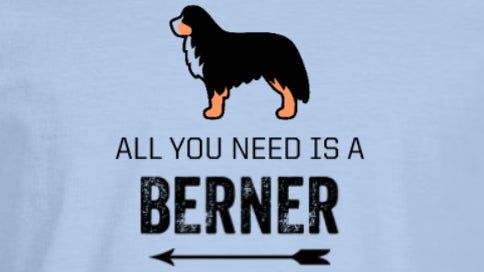 All you need is a Berner t-shirt (light blue)