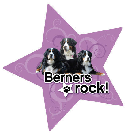 Berners Rock - Magnet