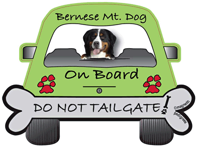 Bernese Mt. Dog - On Board - Magnet