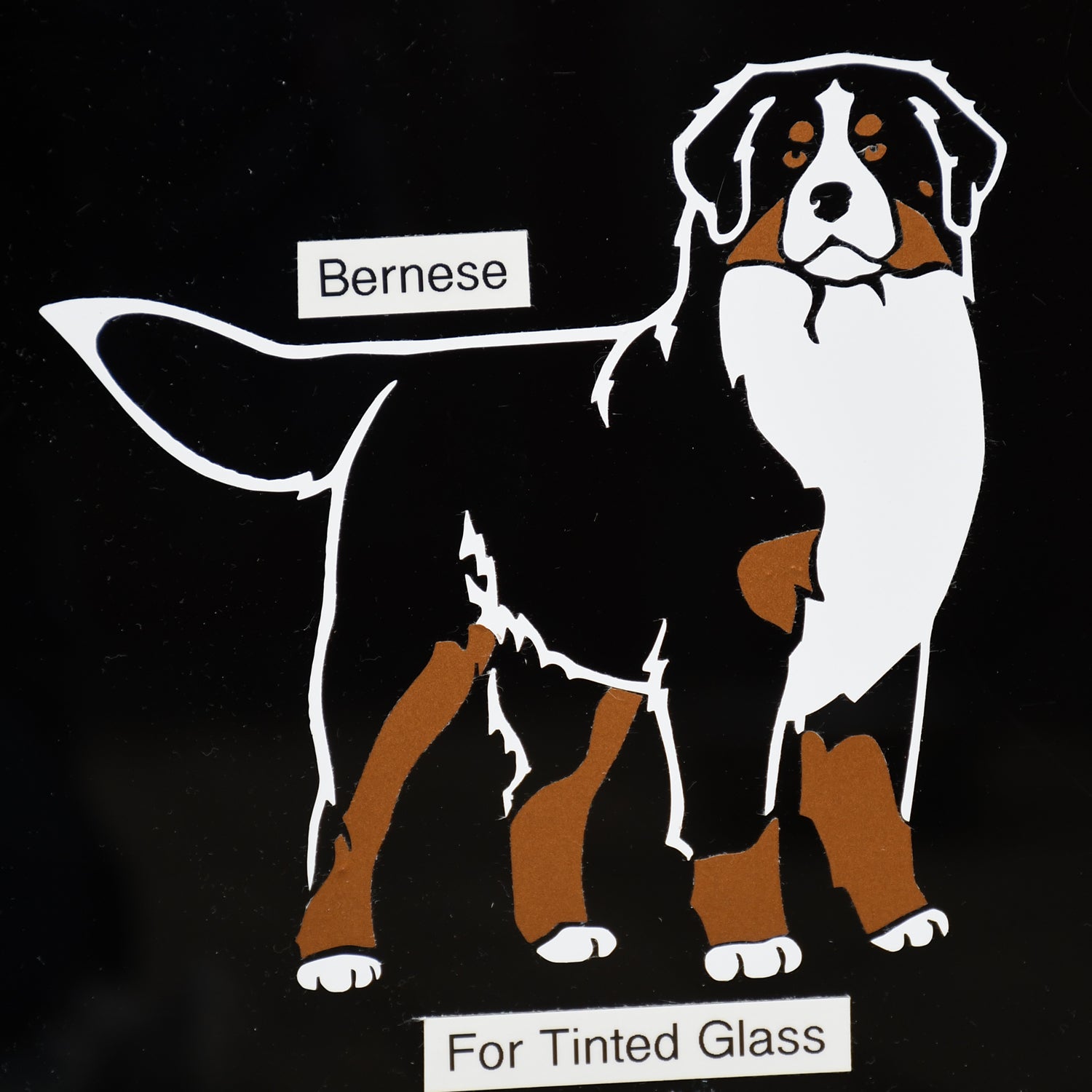 Bernese Decal for Tinted Glass