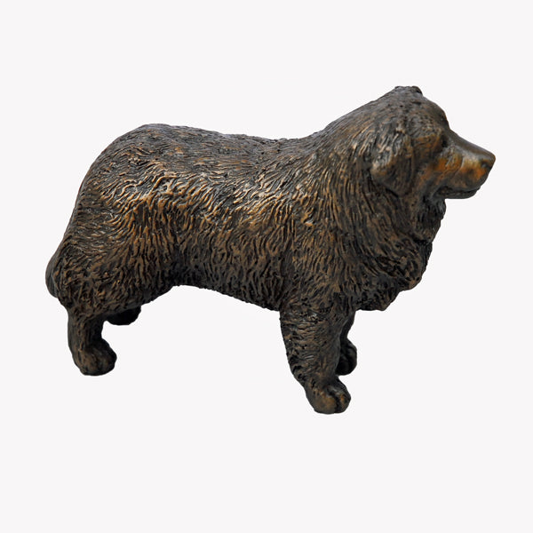 Standing Bernese Mountain Dog - small bronze sculpture