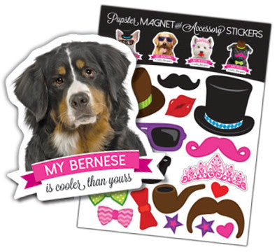 Bernese Pupster Magnet & Accessory Stickers