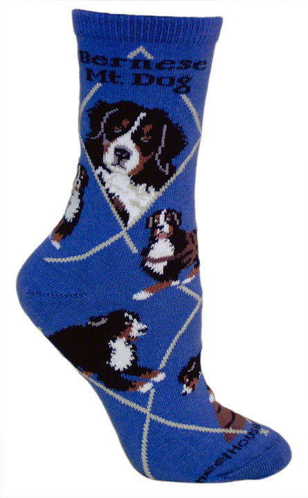 Bernese Mountain Dog Socks on Blue