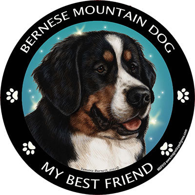Bernese Mountain Dog my best friend - Magnet