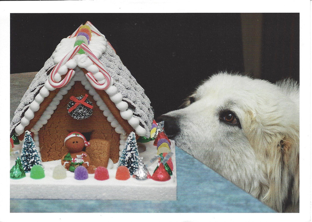 Bosco & Gingerbread House - sold individually