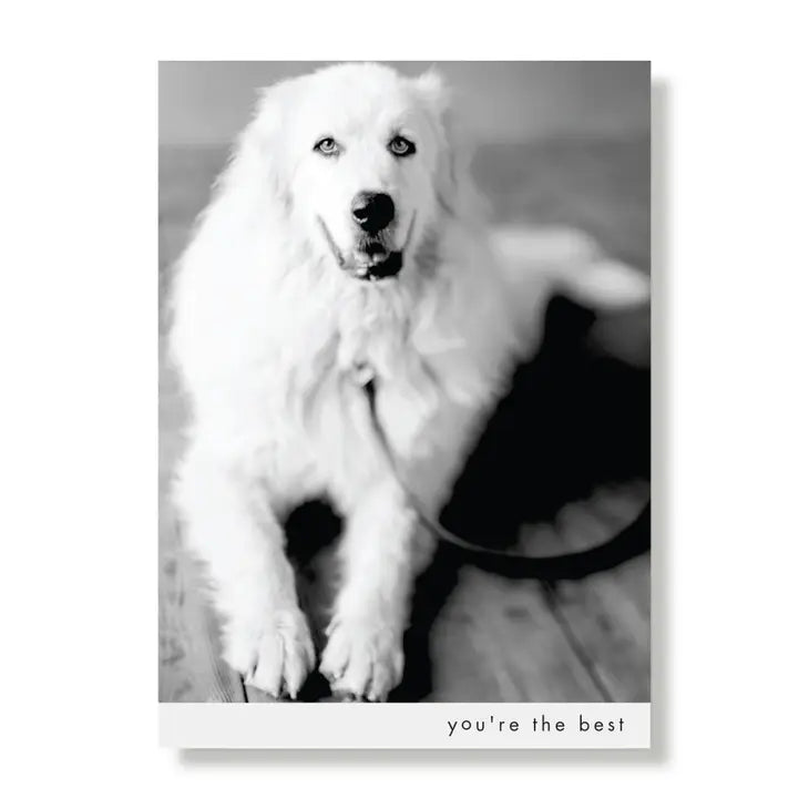You're the Best Pyr Greeting Card - Sold individually