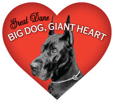 Big Dog, Giant Heart - Magnet