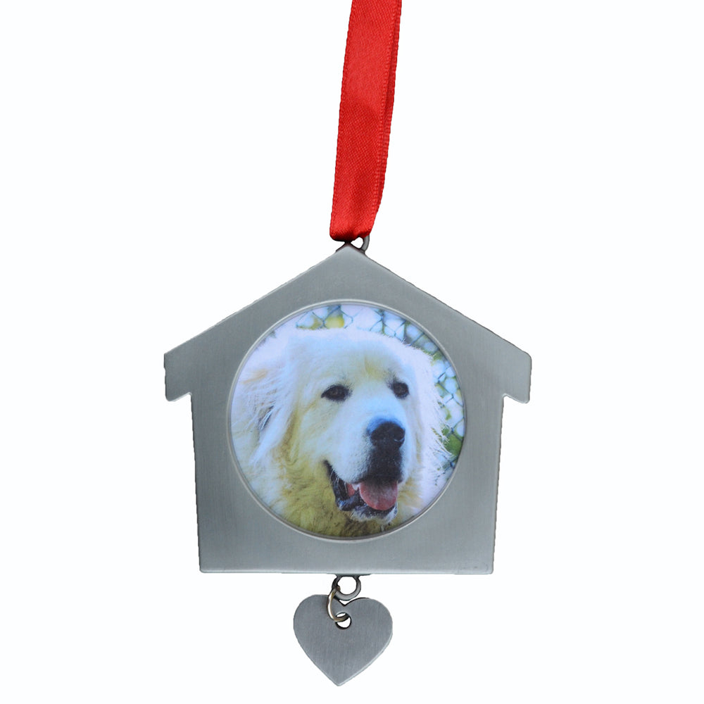 Pet Photo Ornament (insert your own pic)