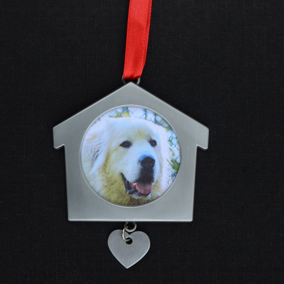 Pet Photo Ornament (insert your own pic)
