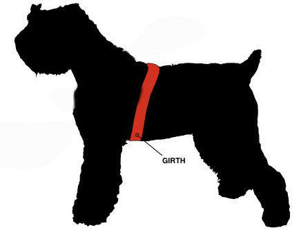 DT Fun Patch Harness for XL dogs