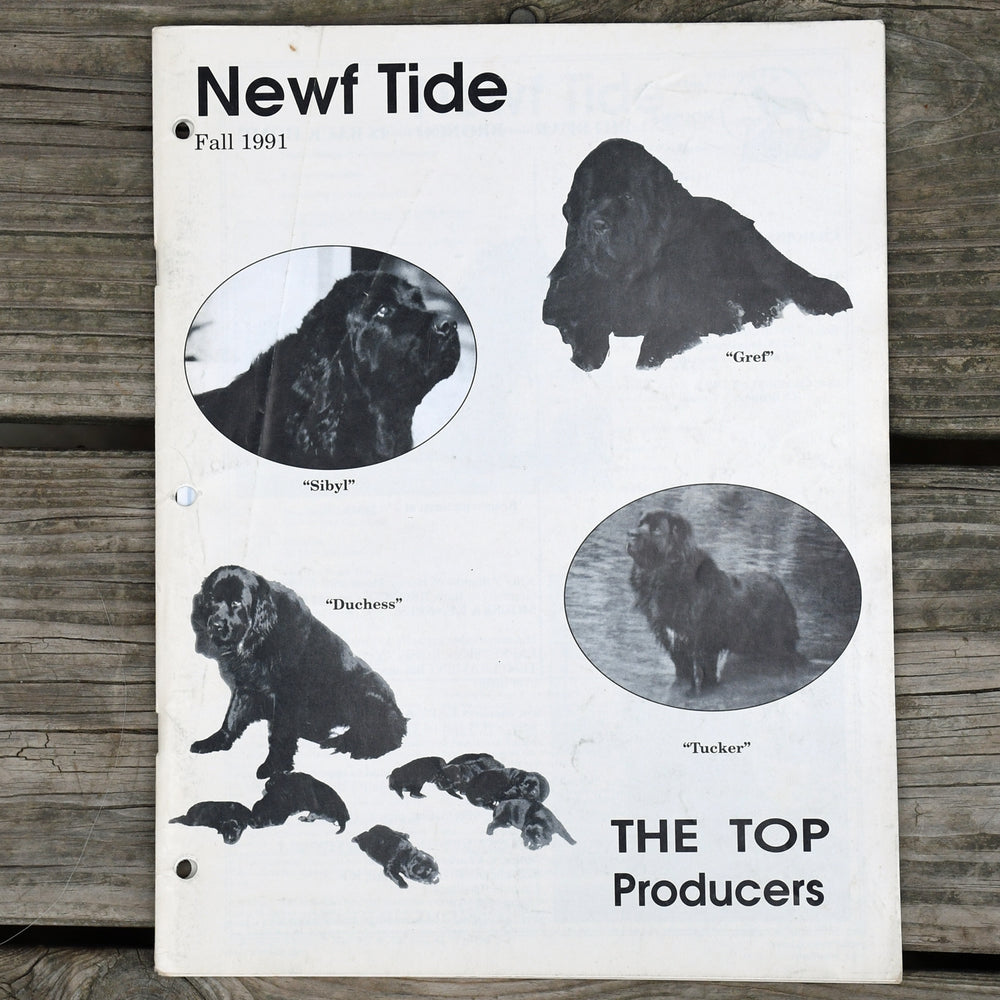 Newf Tide fall 1991