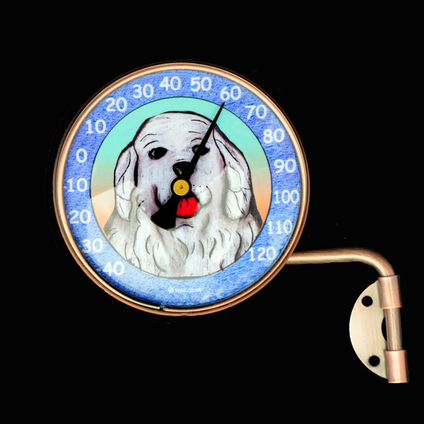 Indoor/Outdoor Pyr Thermometer