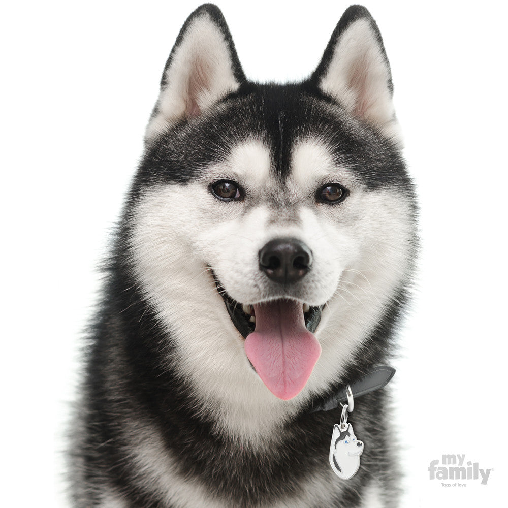 Siberian Husky Black & White Tag