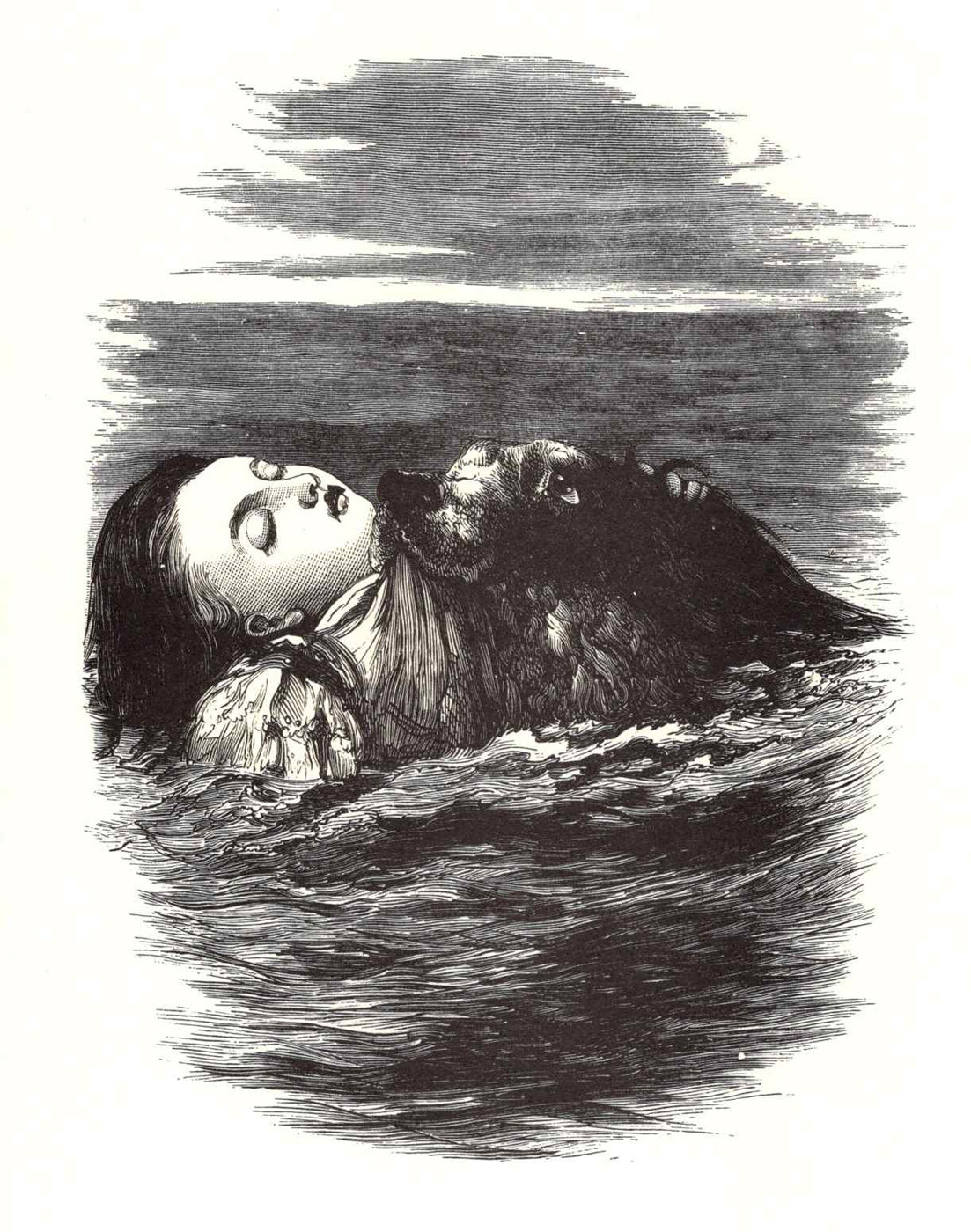 Dog Saving a Child from Drowning, Blank Note Card