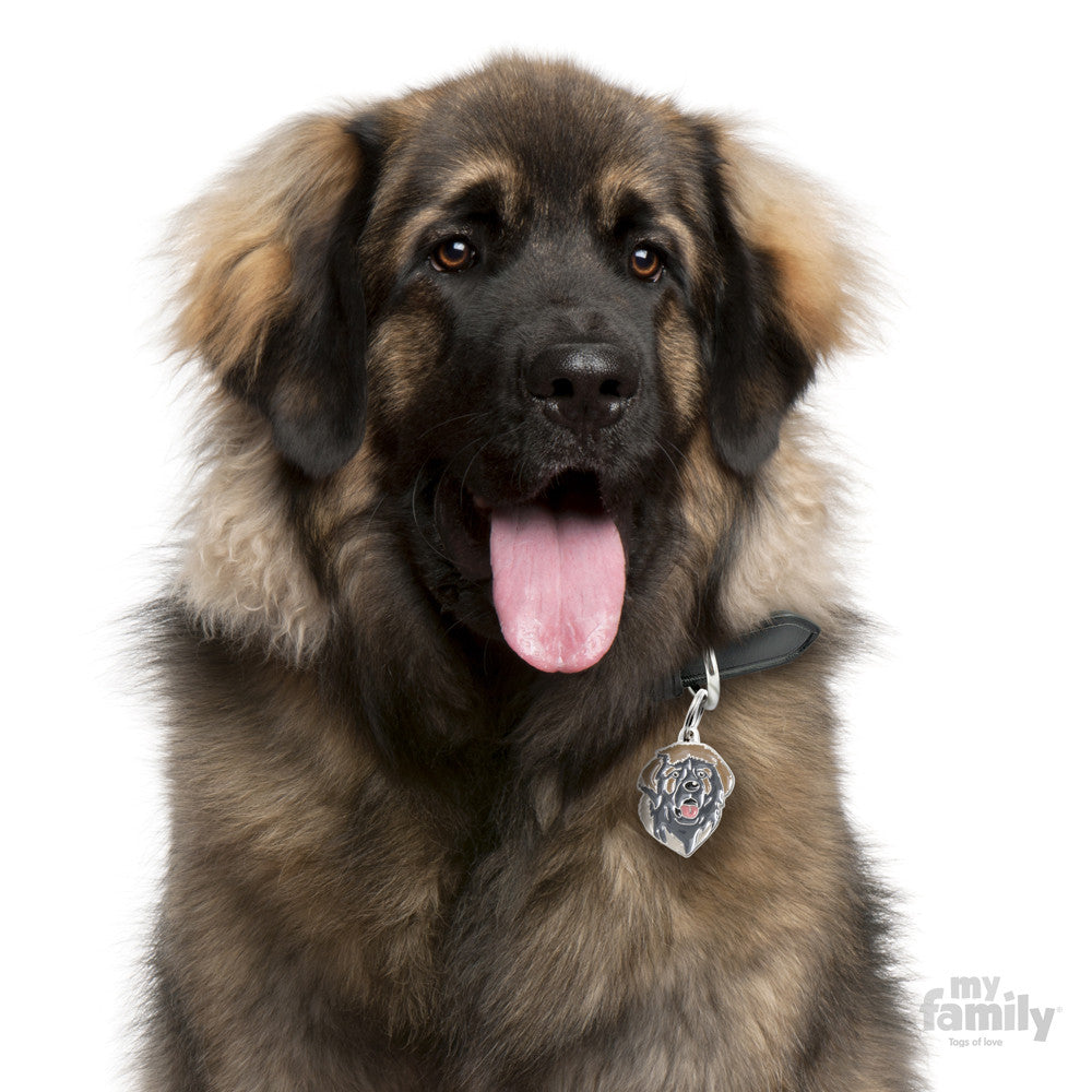 Leonberger Tag