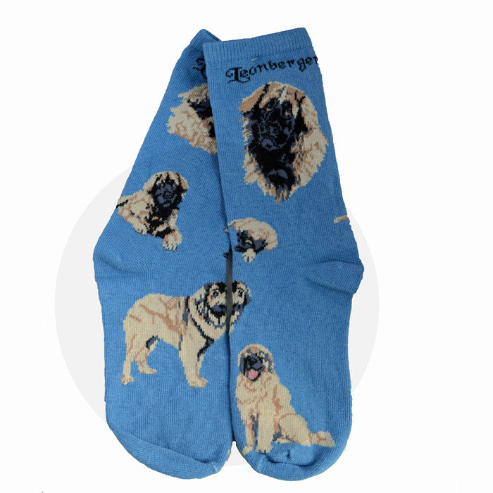"Leonberger Socks on Blue"