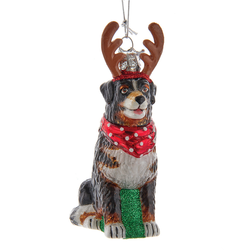 Noble Gems™ Bernese Mountain Dog With Antlers Glass Ornament