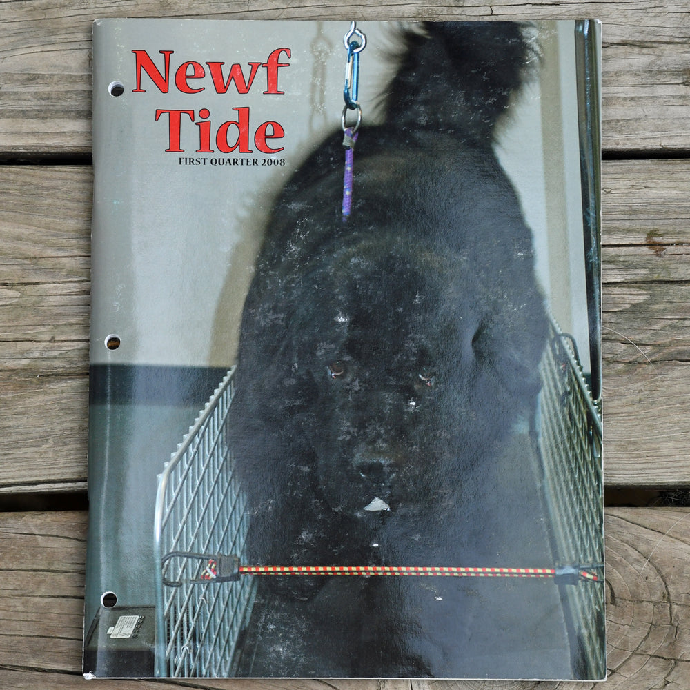 Newf Tide First Quarter 2008