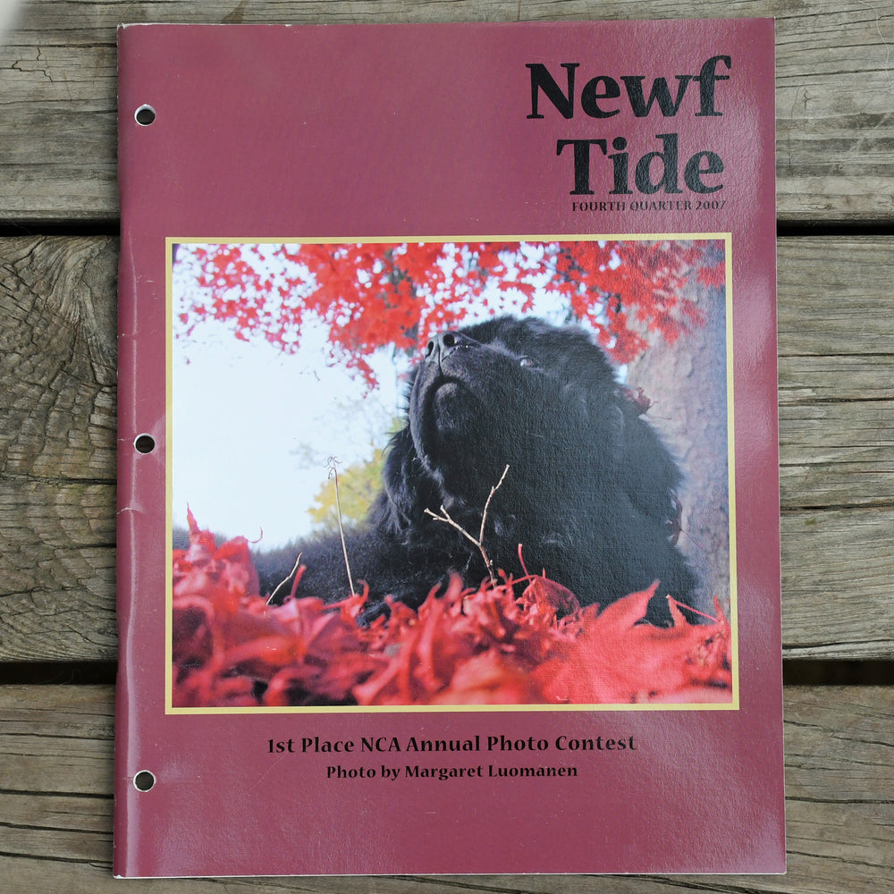 Newf Tide Fourth Quarter 2007