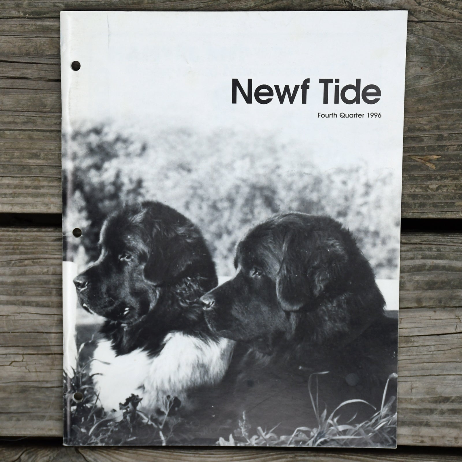 Newf Tide Fourth Quarter 1996