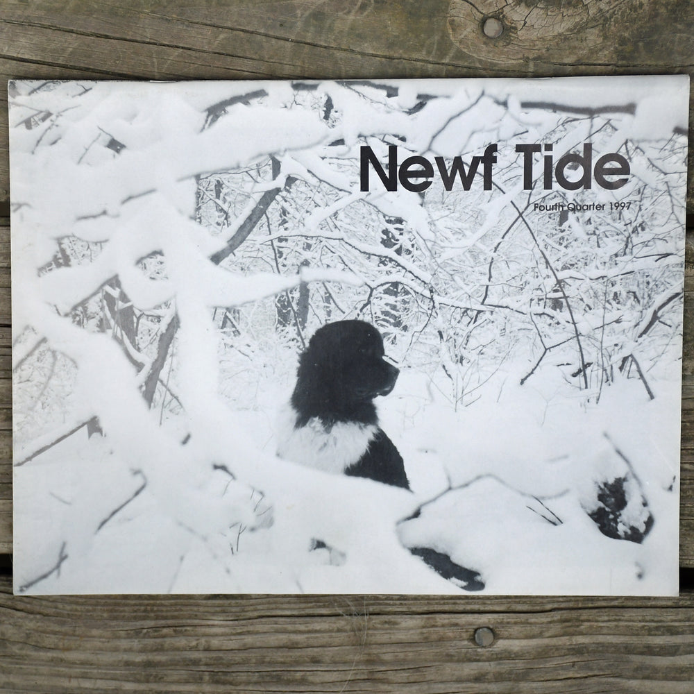 Newf Tide Fourth Quarter 1997