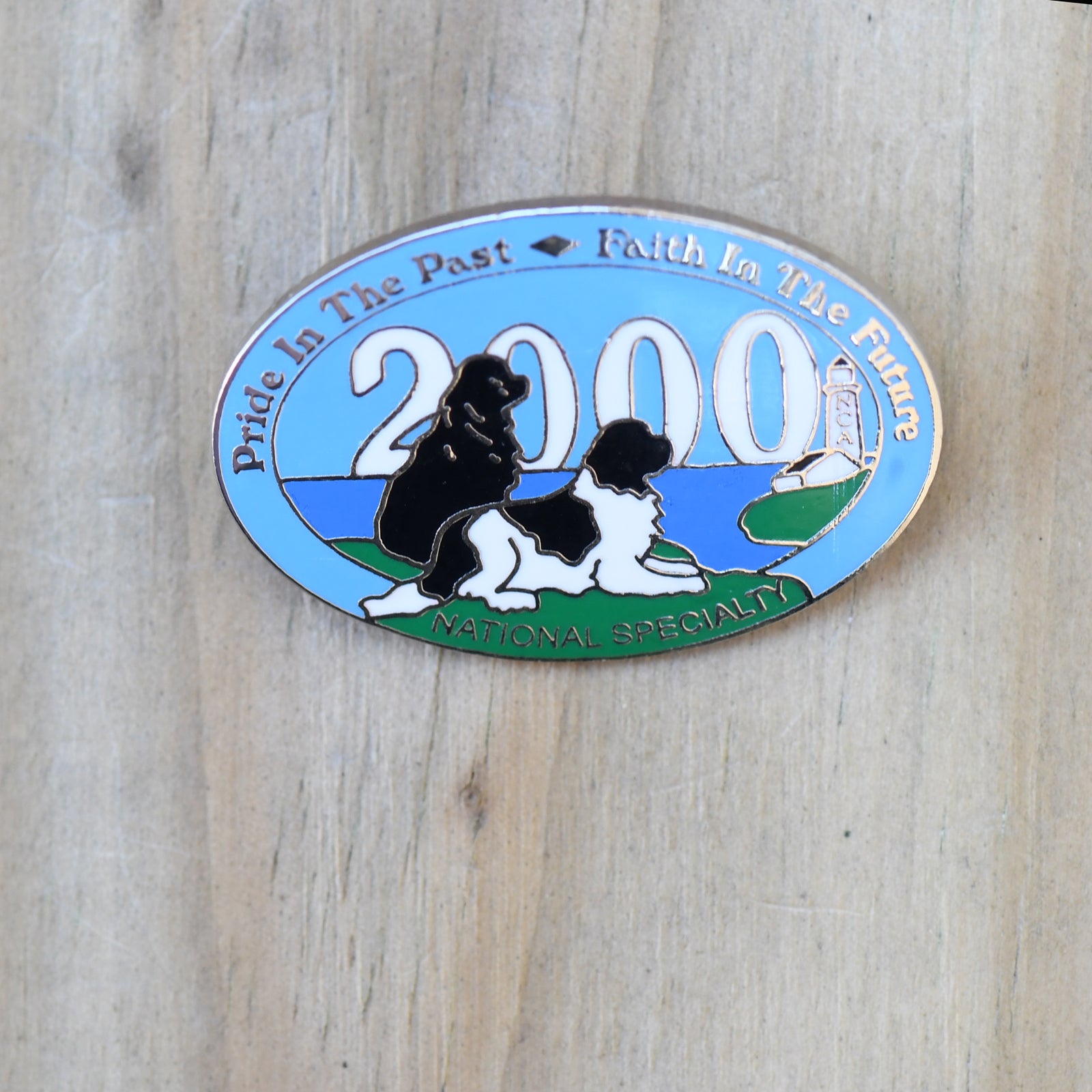 2000 National Specialty Pin