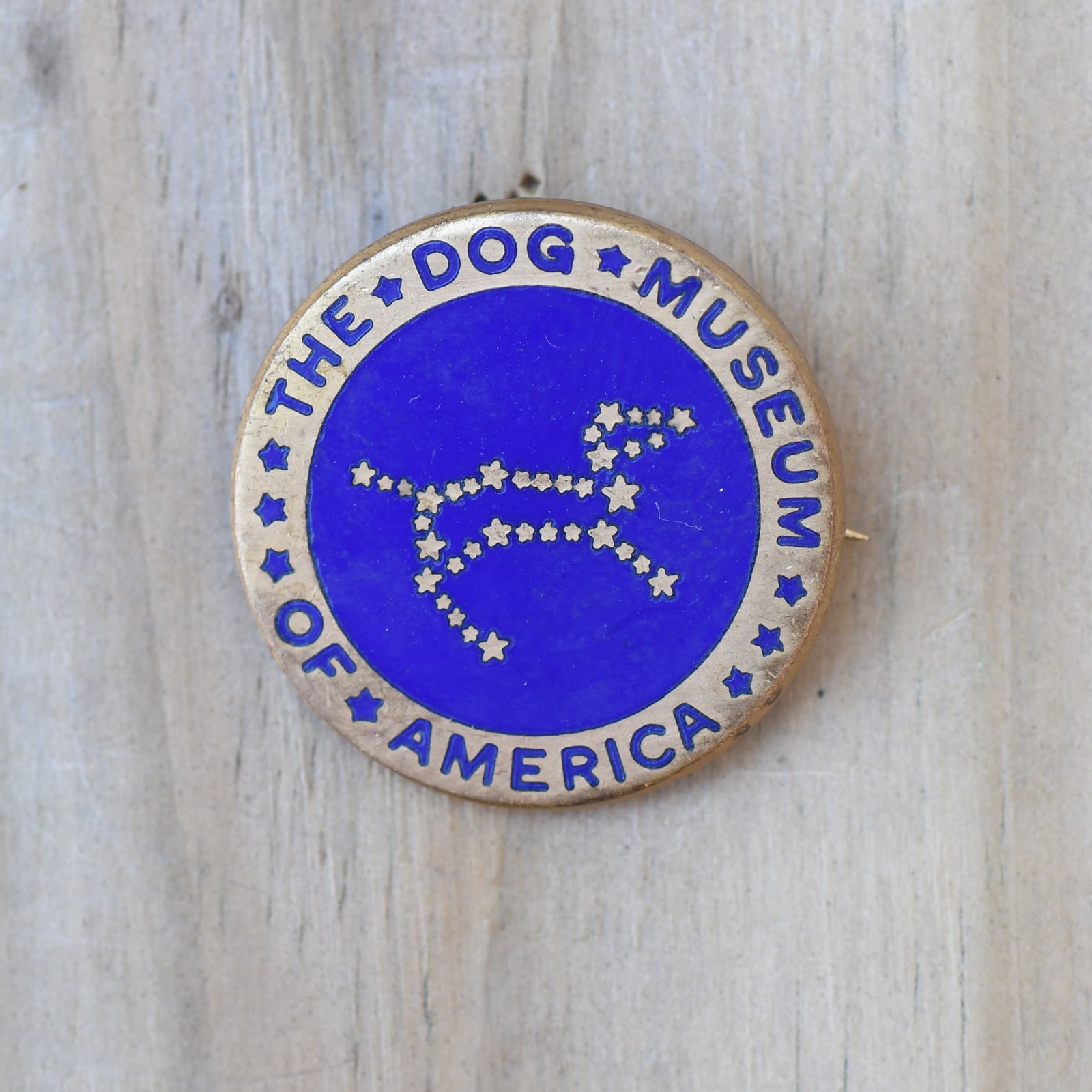 dog museum Pin