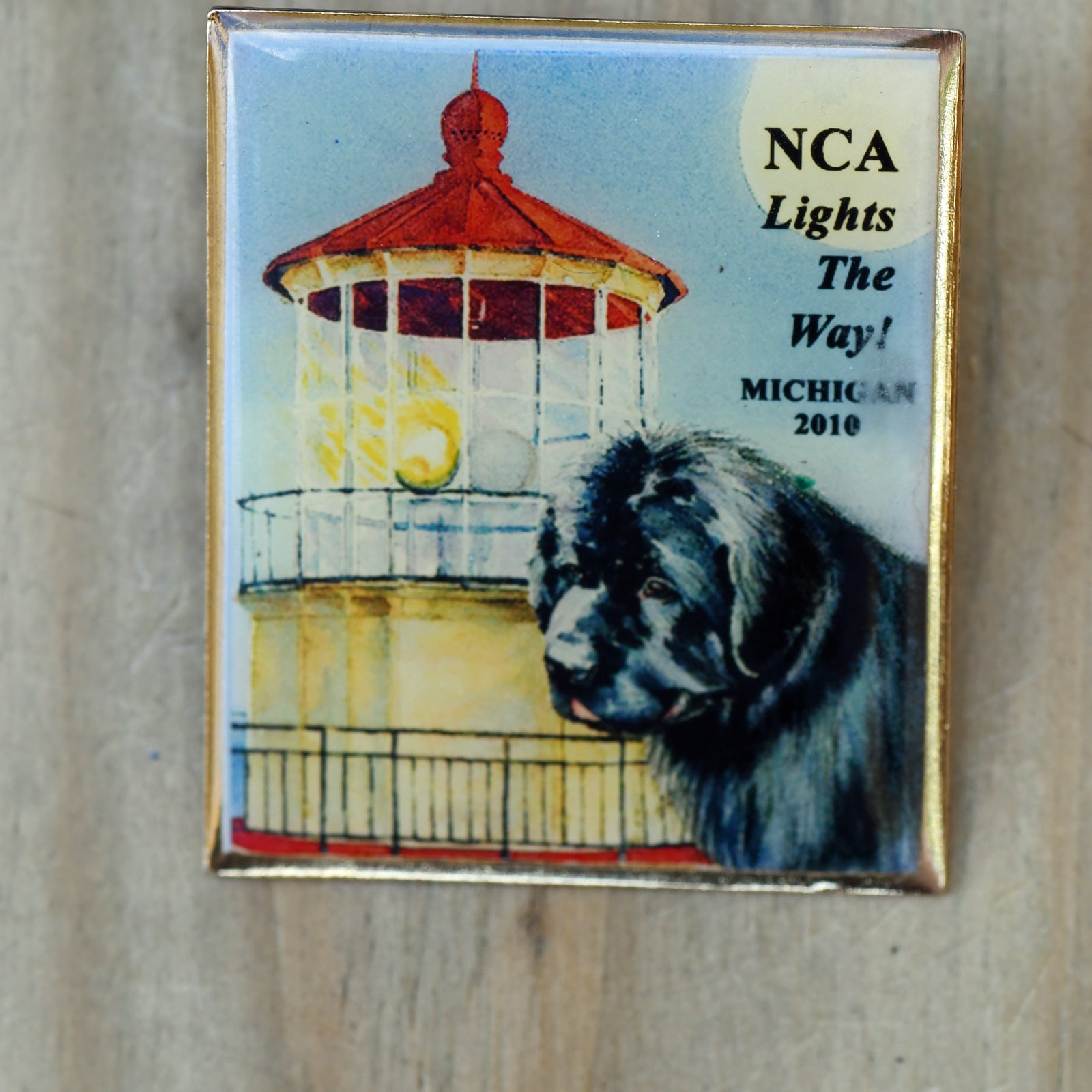 2010 NCA National Pin