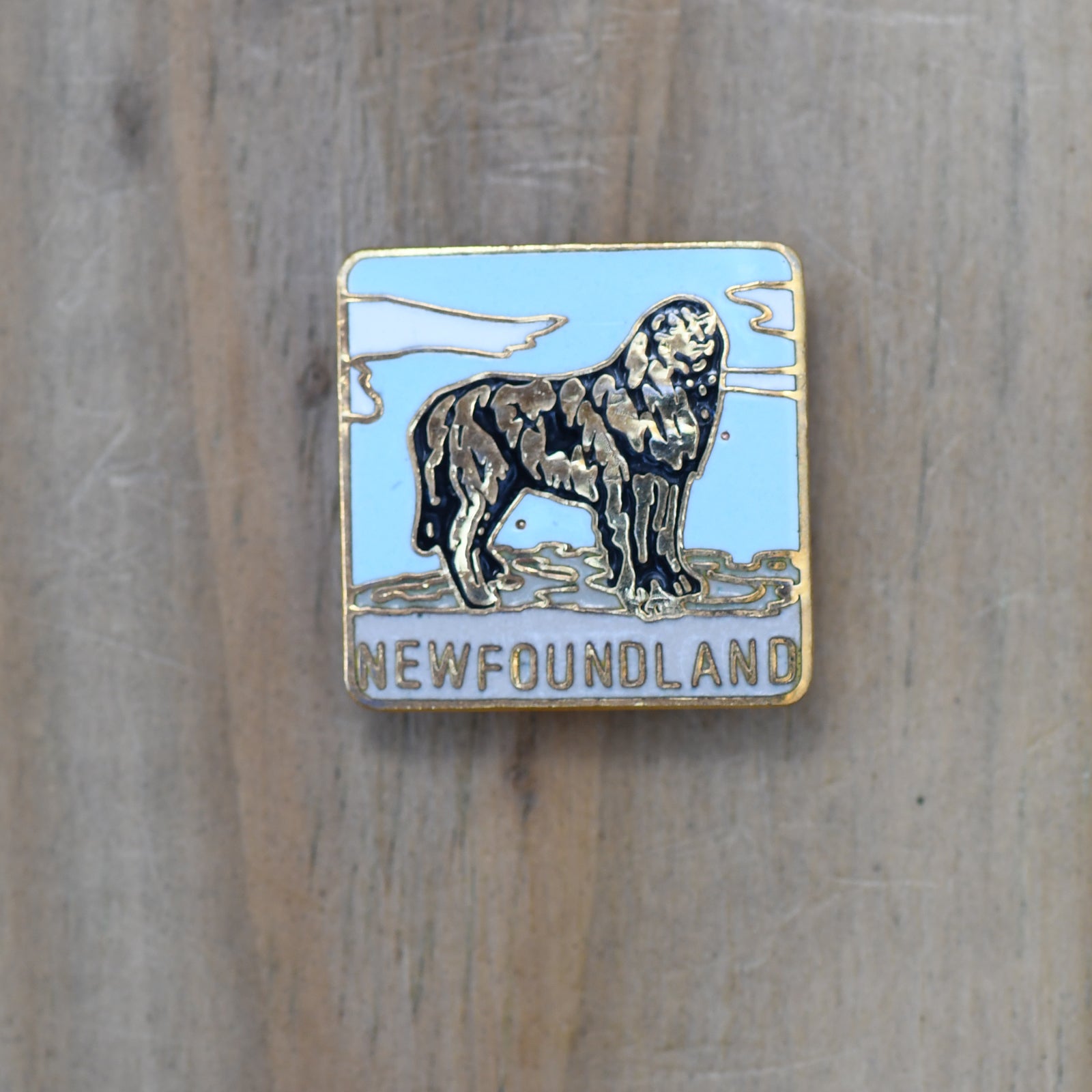 newfoundland pin