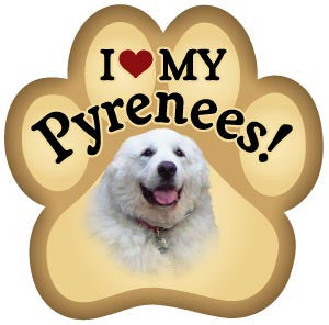 I Love my Pyrenees - Magnet