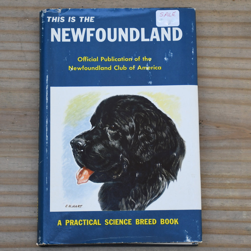 This Is the Newfoundland - Hardcover